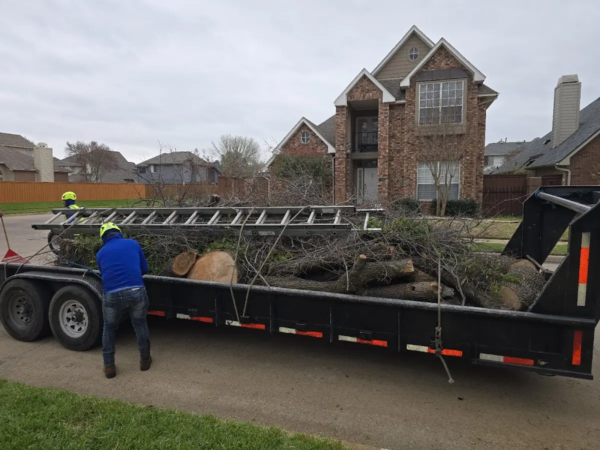 Expert Tree Removal with proper safety equipment in Brinkley